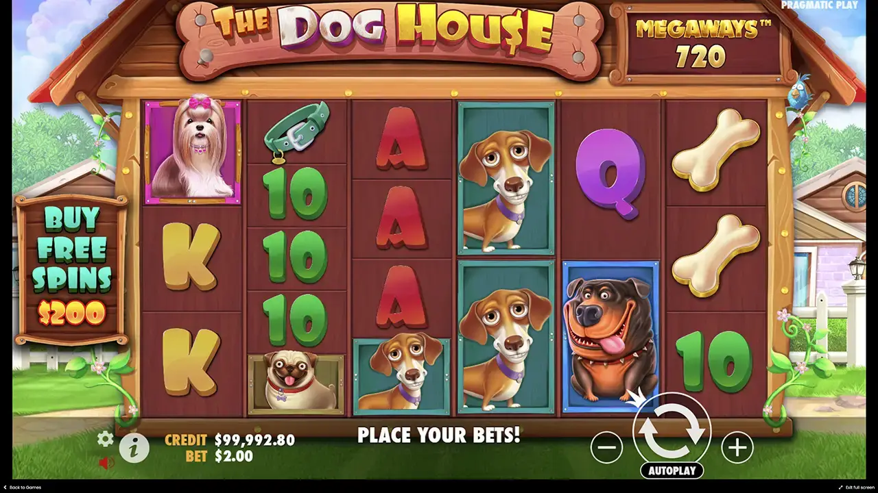 Плюсы и минусы слота the Dog house Megaways