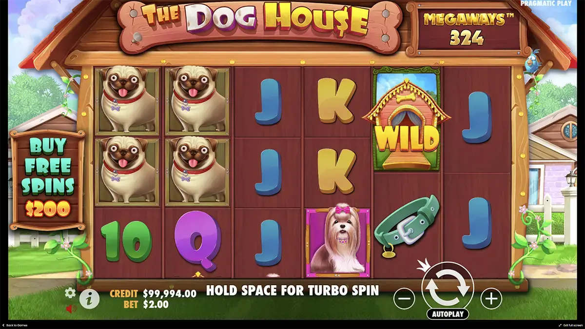 Dog house Megaways демо игра