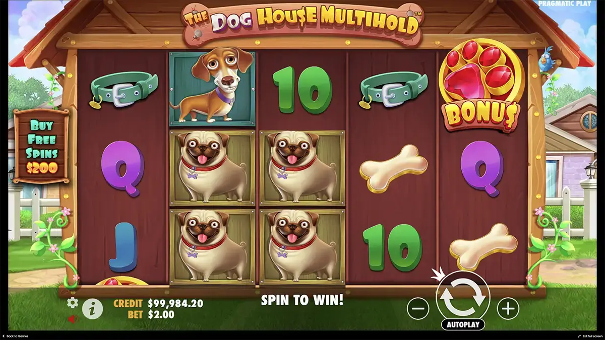 Бонусы слота the Dog house Multihold