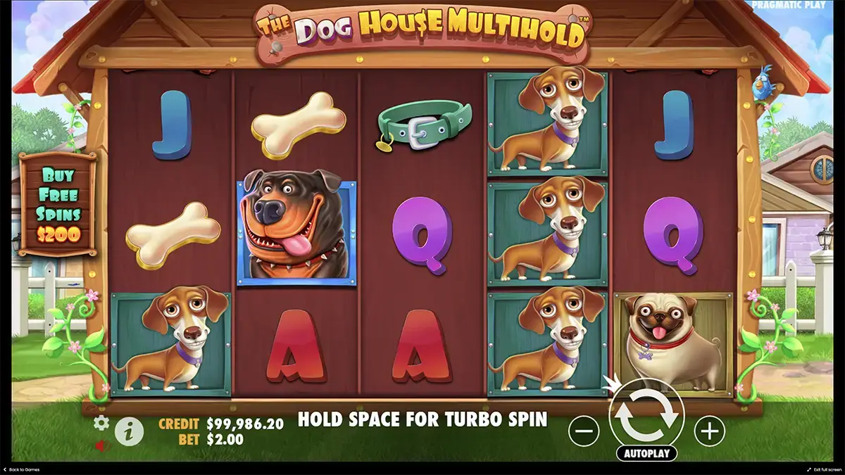 Функции демо слота the Dog house Multihold